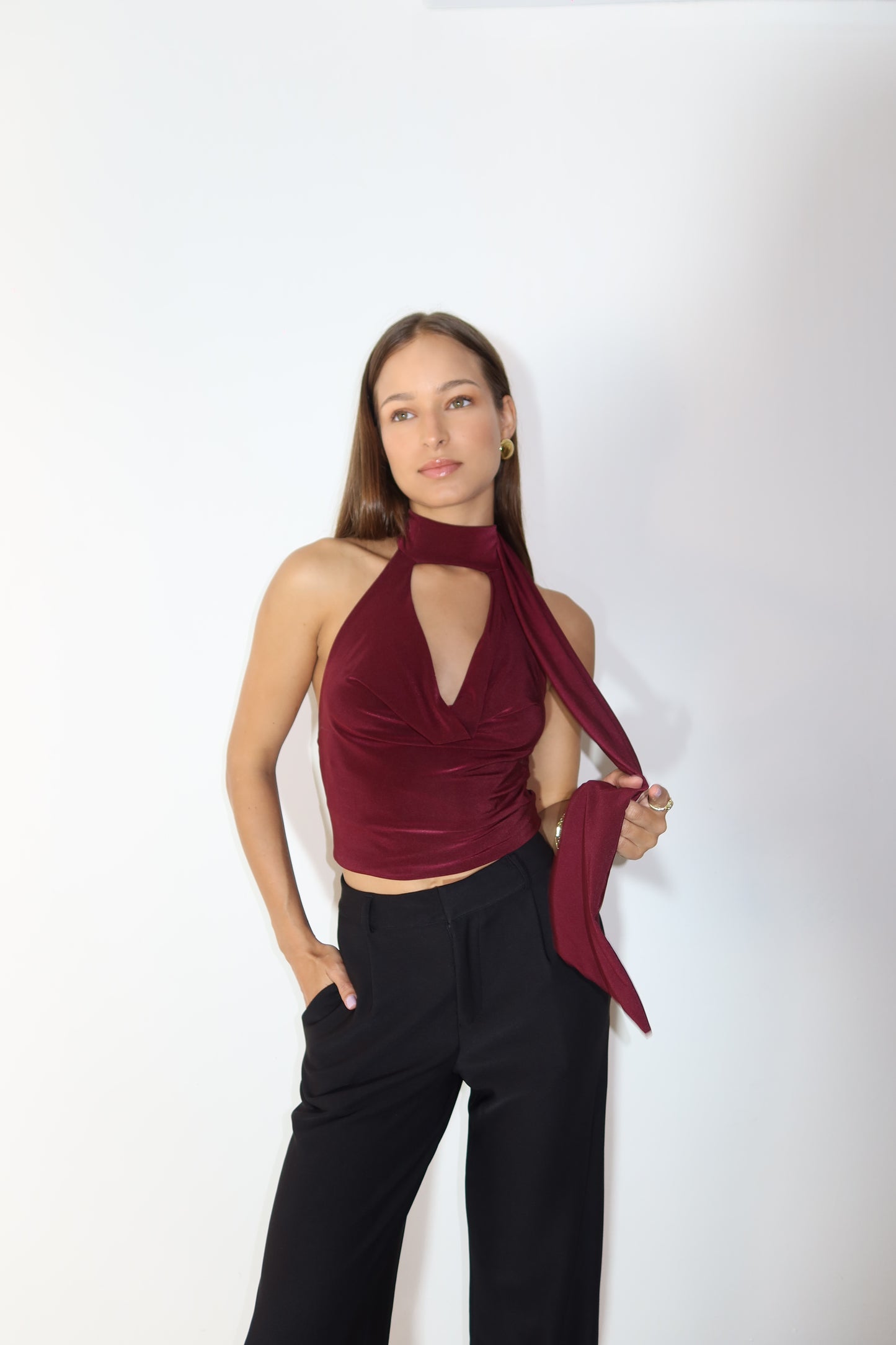 Burgundy Halter Backless Mesh Top
