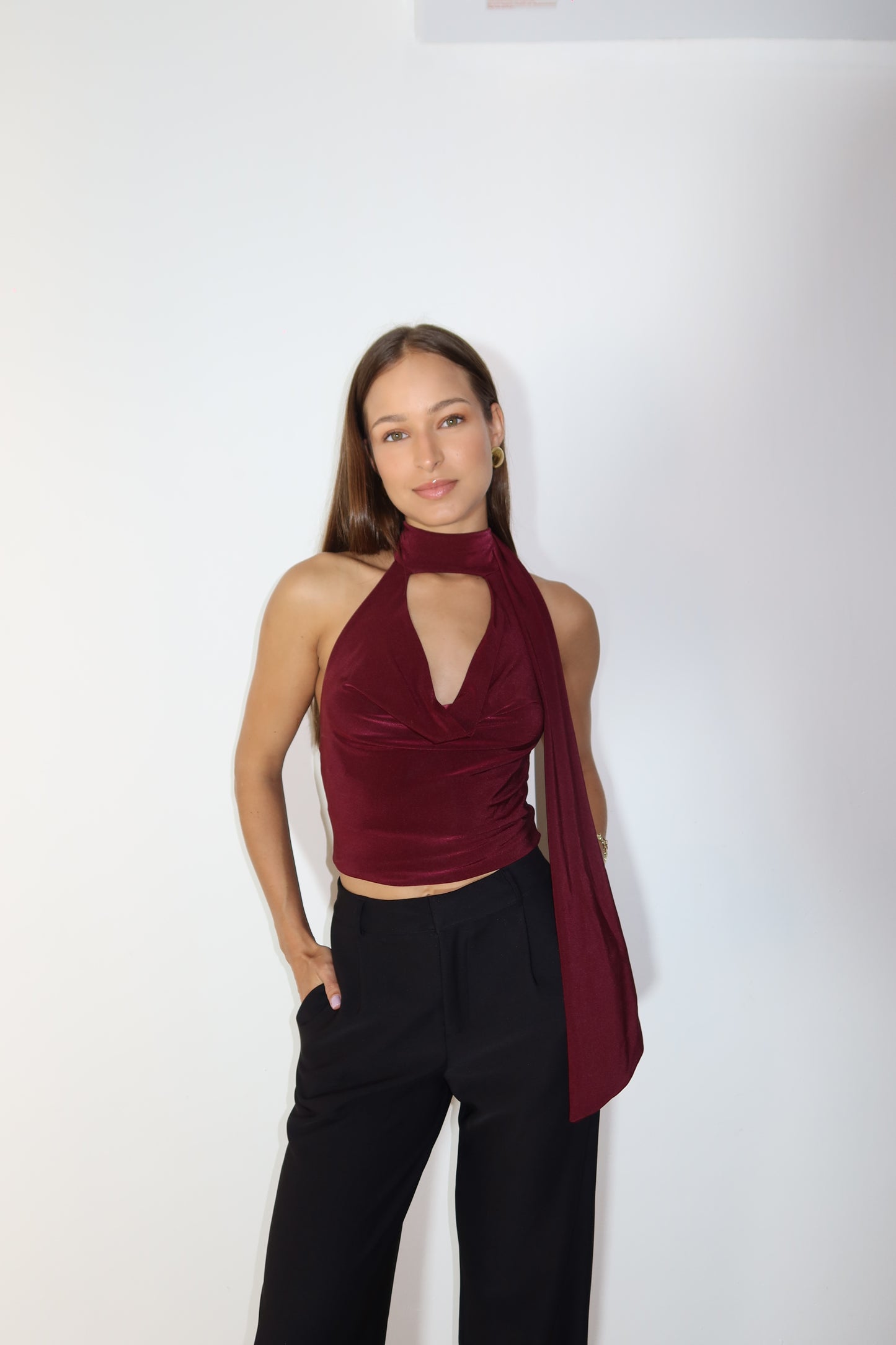 Burgundy Halter Backless Mesh Top