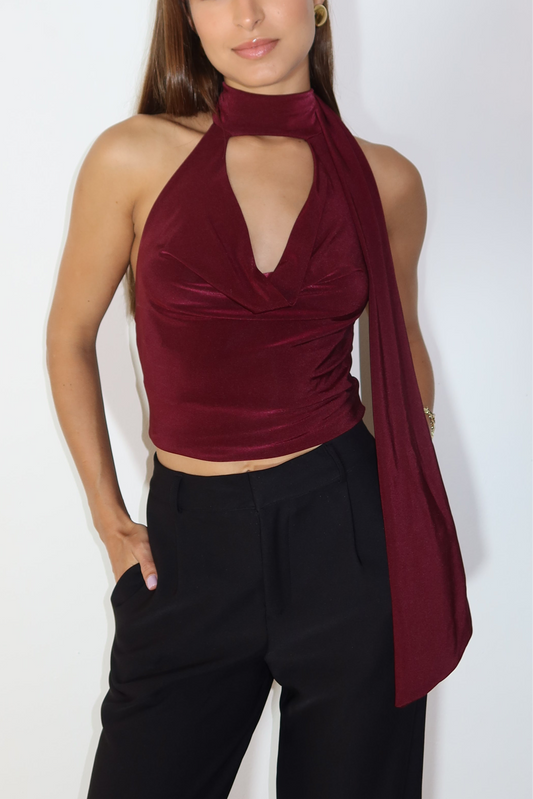 Burgundy Halter Backless Mesh Top