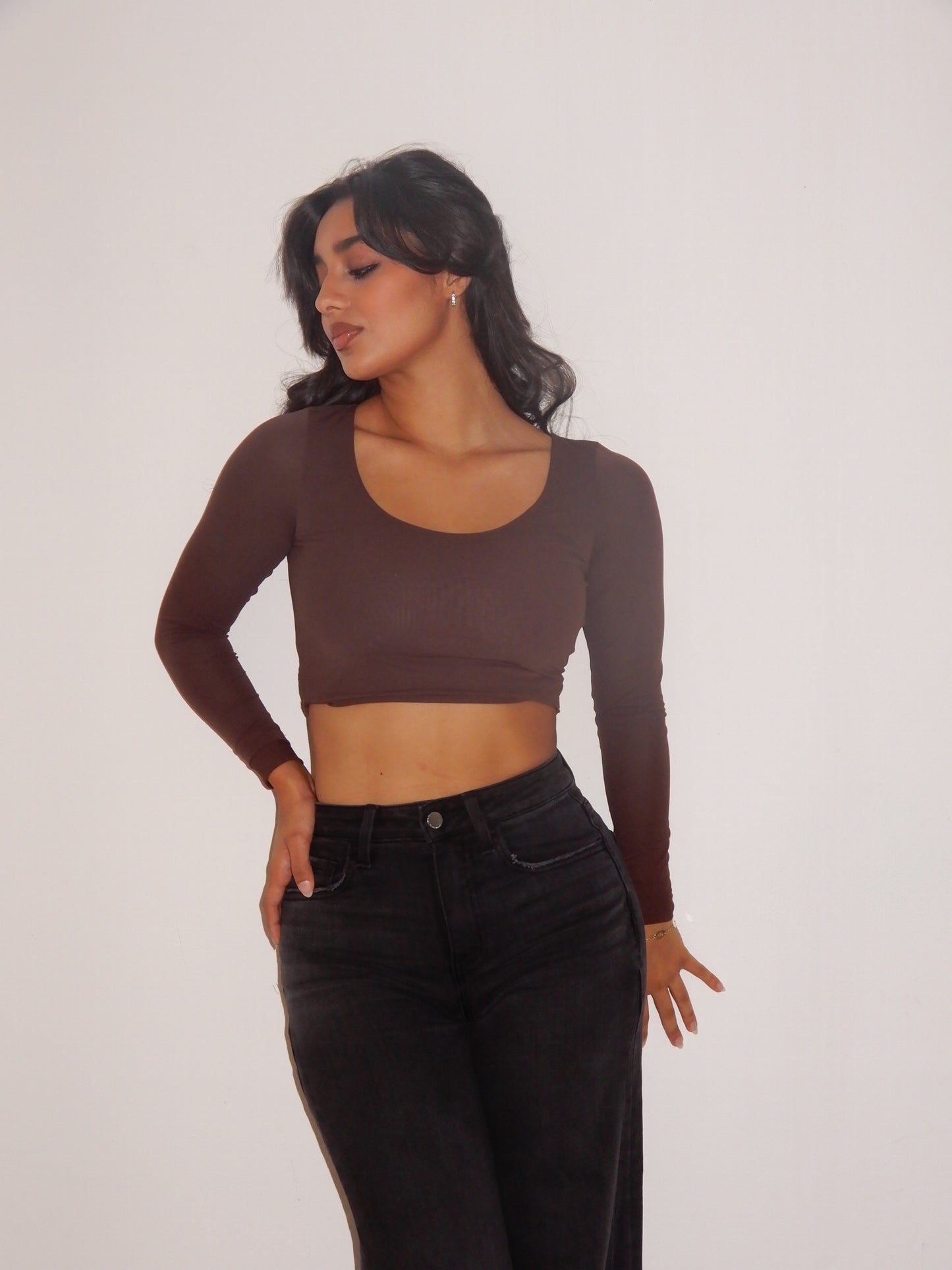 Backless Long Sleeve Mesh Cropped Top